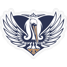 Image for 9 AS Pelican Embroidered Patch