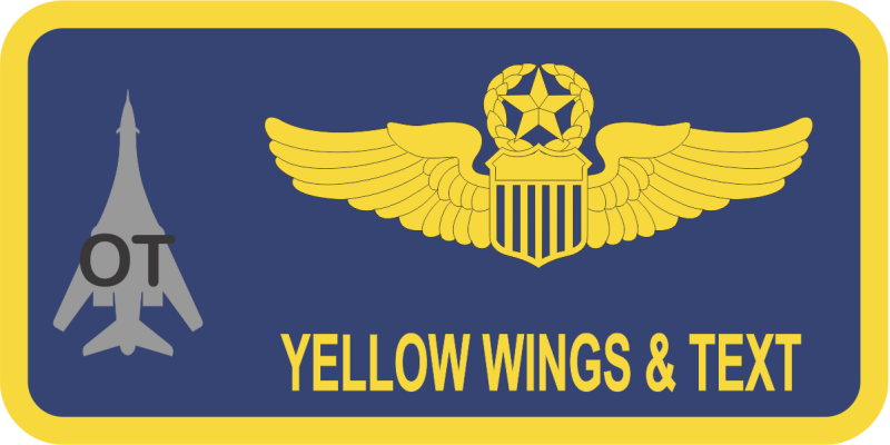 29 TSS Det 4 Name Tag