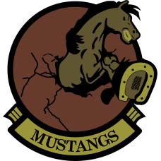 Image for 436 Training Squadron Mustangs OCP Patch
