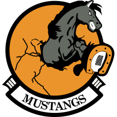 Image for 436 TS Mustangs Full Color Patch