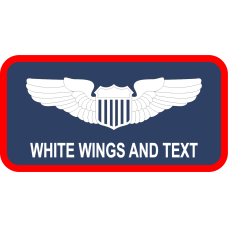 Image for 419 FLTS Regular with Aircraft Name Tag