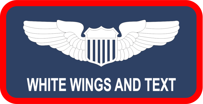 419 FLTS Regular with Aircraft Name Tag