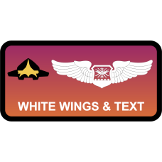 Image for TPS Mon-Thurs Aircraft with Fade Name Tag