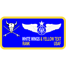 Image for 37 HS Bison Skull Enlisted