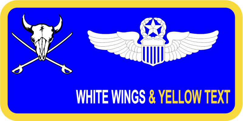 37 HS Bison Skull Officer's Name Tag