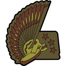 Image for 384 ARS Heritage OCP Patch