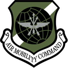 Image for 384 ARS AMC Heritage Dk Green Patch