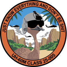 Image for 1-145 Aviation Regiment UH-60M Class 25-005 Patch