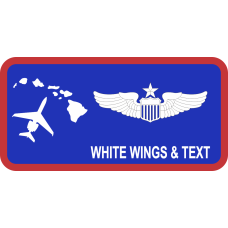 Image for 65 AS Hawaiian Islands with C-37 Name Tag