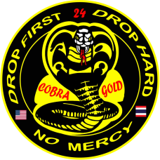 Image for 204 AS Drop First 24 Drop Hard Patch