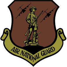 Image for 204 AS ANG C-17 OCP Patch PVC