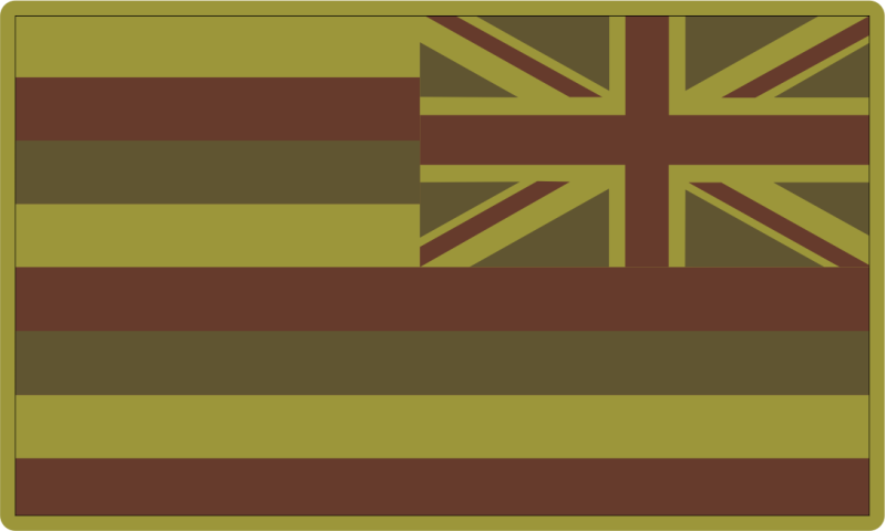 204 AS Hawaiian Flag Reversed OCP Patch PVC  