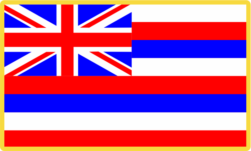 204 AS Hawaiian Flag Full Color Patch PVC  