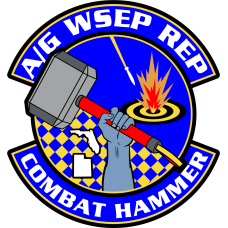 Image for 86 FWS A/G WSEP REP Full Color Patch