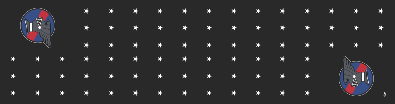 9 ATKS Black Flight Scarf, Holloman AFB 