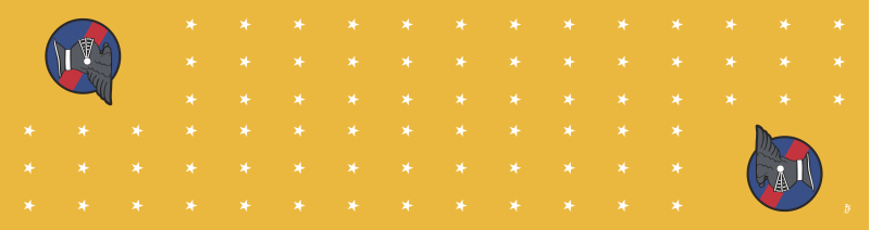 9 ATKS Gold Flight Scarf, Holloman AFB 