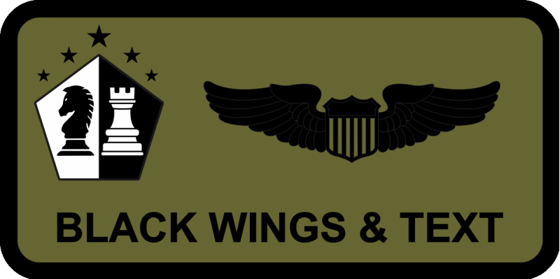 14 WPS Pentagon Knight/Rook Name Tag 