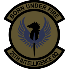 Image for 25 IS Subdued Patch