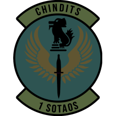 Image for 1 SOTAOS Subdued Green Patch