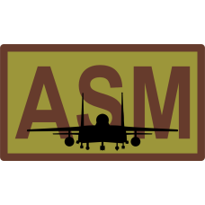 Image for 4 EMS ASM F-15E Duty Job OCP Patch