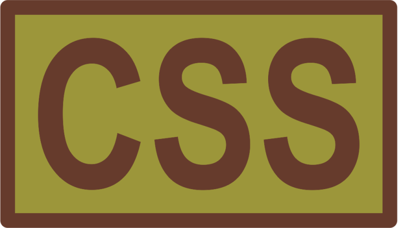 CSS Duty Job OCP Patch
