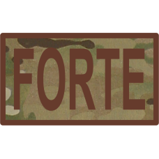Image for FORTE Duty Job Patch OCP