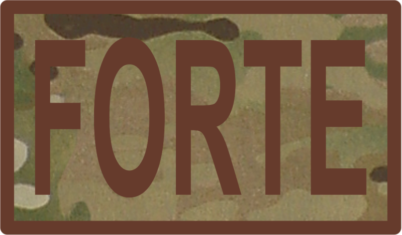 FORTE Duty Job Patch OCP