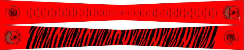 909 ARS Flight Scarf