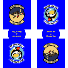 Image for 117 ARS Koozie, Kansas ANG