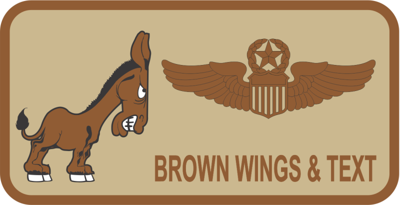 22 EARS Desert Name Tag 