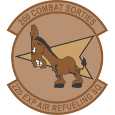 Image for 22 EARS Desert Donkey 200 Combat Sorties Patch