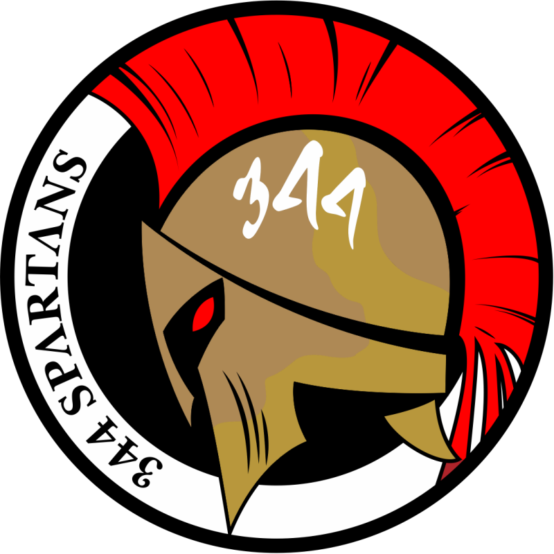 344 TRS Spartans Patch