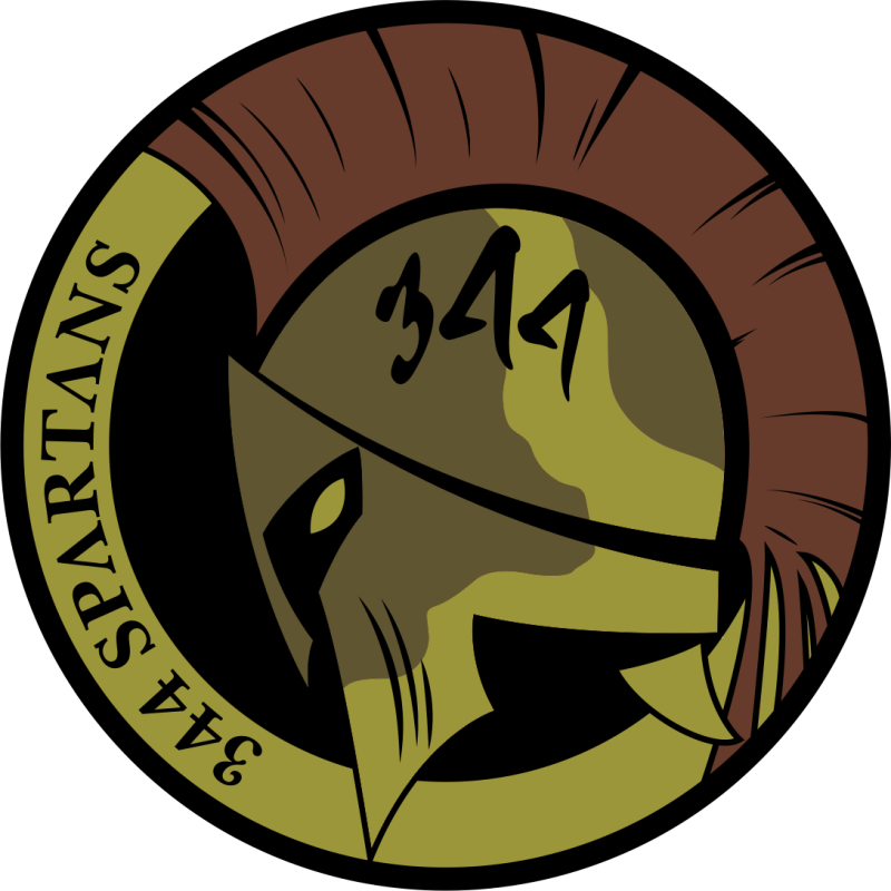 344 TRS Spartans OCP Patch