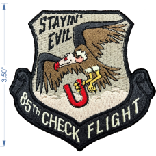 Image for 85th Check Flight Stayin