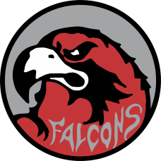 Image for 47 FTW Falcons Red/Black/Gray Patch