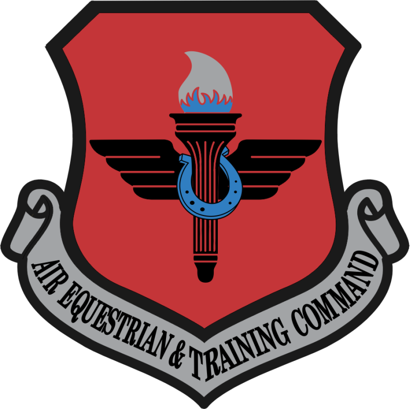 47 FTW Class SUPT 26-05 Air Equestrian & Training Command Patch