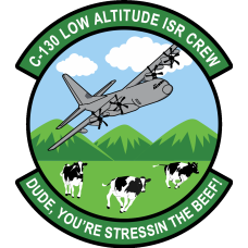 Image for 61 AS C-130 Low Altitude ISR Crew Patch