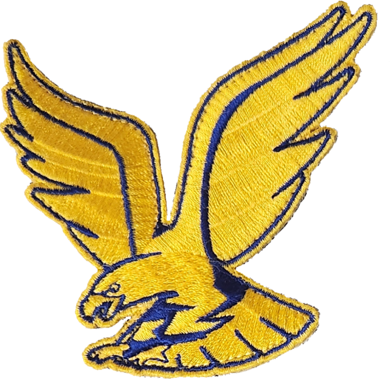 341 OSS Yellow & Blue Eagle Patch