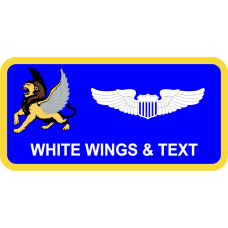 Image for 610 AOG Lion Name Tag