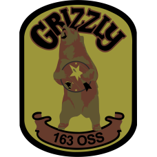 Image for 163 OSS Grizzly Bear OCP Patch