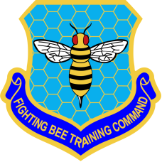 Image for 492 ATKS Fighting Bee Training Command Patch