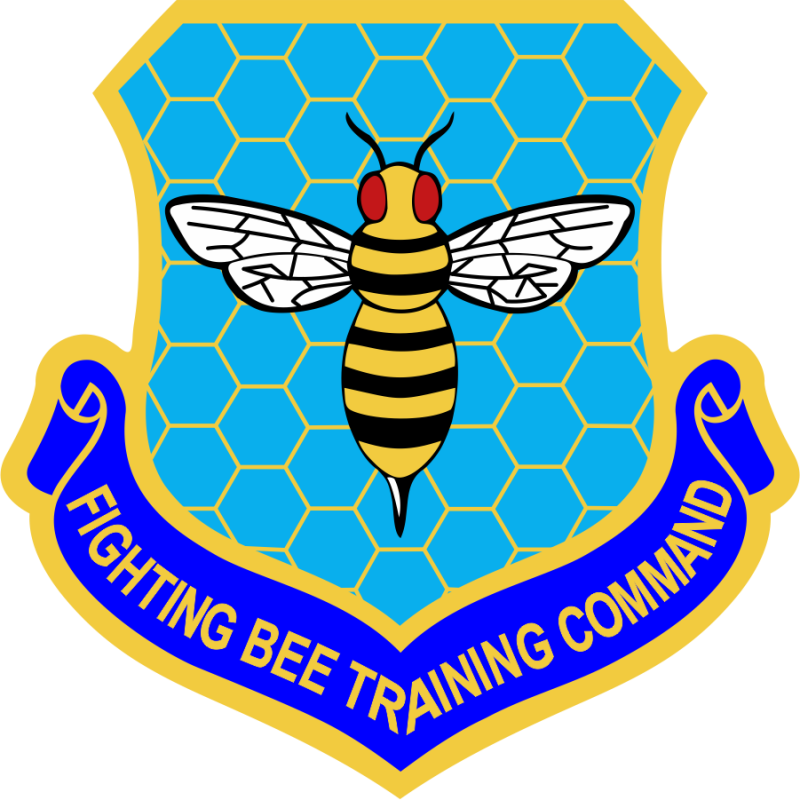 492 ATKS Fighting Bee Training Command Patch