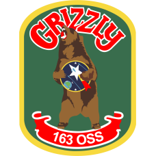 Image for 163 OSS Grizzly Bear Full Color Patch