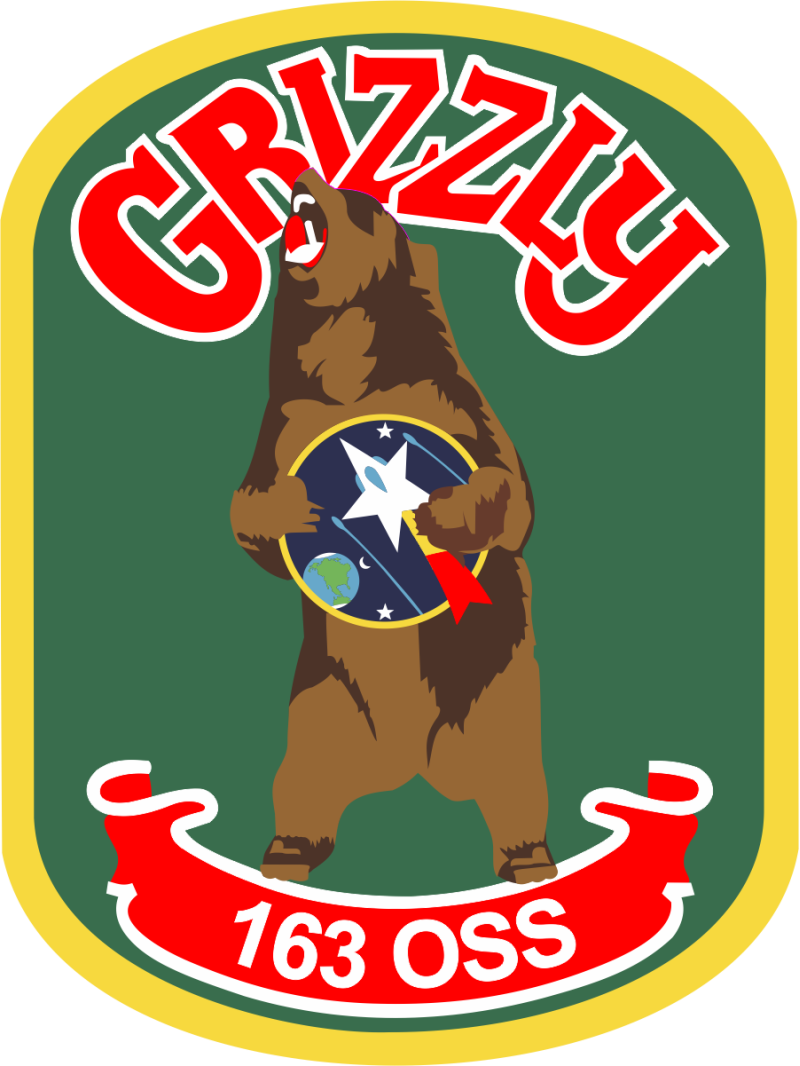 163 OSS Grizzly Bear Full Color Patch