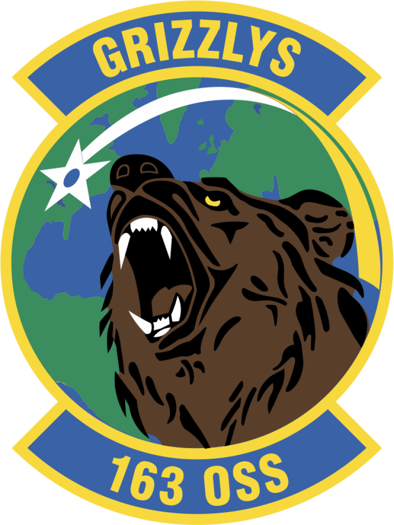 163 OSS Full Color Patch 3"