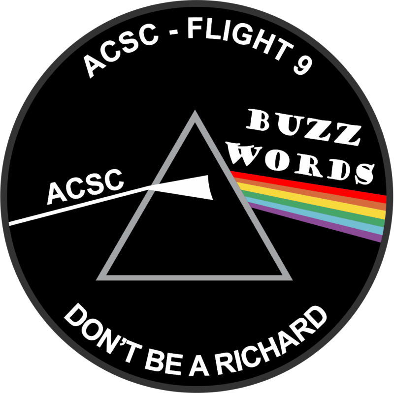 ACSC Flight 9 Buzz Words Patch