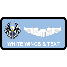 Image for 22 TRS Eagle Name Tag