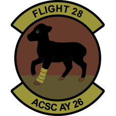 Image for ACSC AY 26 Flight 28 OCP Patch
