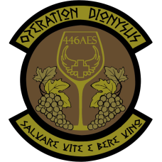 Image for 446 AES OCP Wine Patch