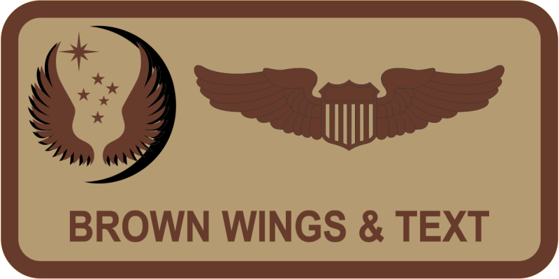 818 MSAS Desert Name Tag